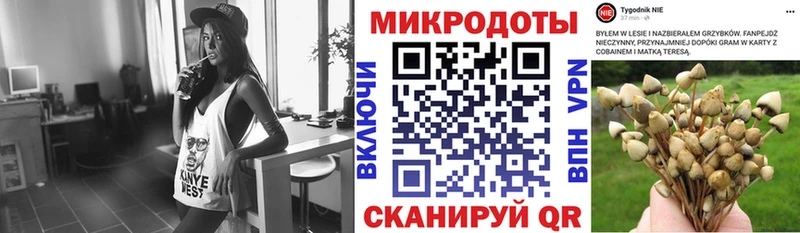 Галлюциногенные грибы Psilocybe  нарко площадка как зайти  Суздаль  дарнет шоп  mega зеркало 