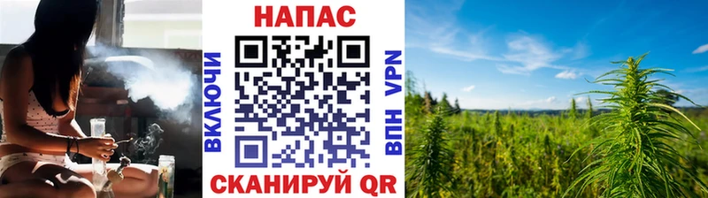 купить  цена  Суздаль  Канабис план 